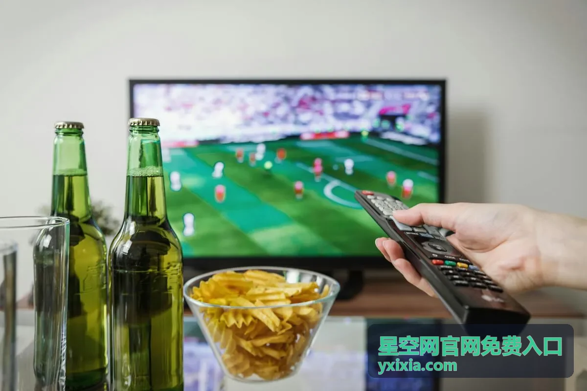 星空网官网免费入口页面功能分区示意