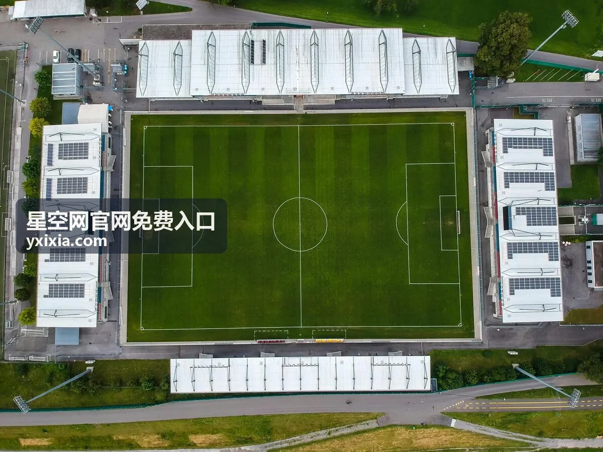 多设备同步使用星空网官网免费入口的场景
